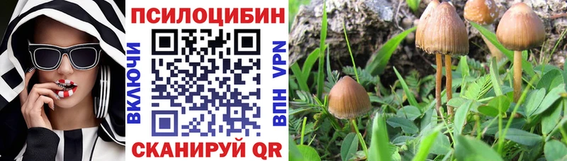 ОМГ ОМГ ссылки  Видное  Галлюциногенные грибы Magic Shrooms 