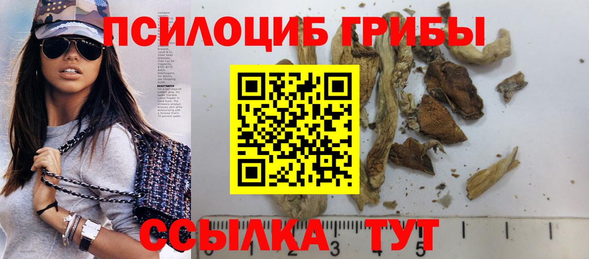 Псилоцибиновые грибы прущие грибы Видное