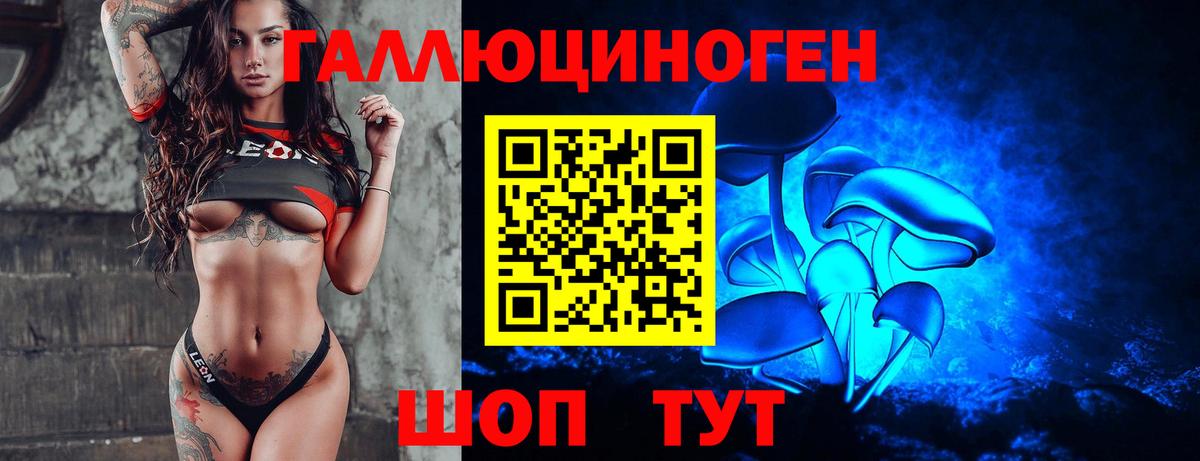 Псилоцибиновые грибы Psilocybe  Вход с VPN  Галлюциногенные грибы прущие грибы  Видное 